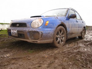 Scénario : Patrick Herbert - The muddy aftermath